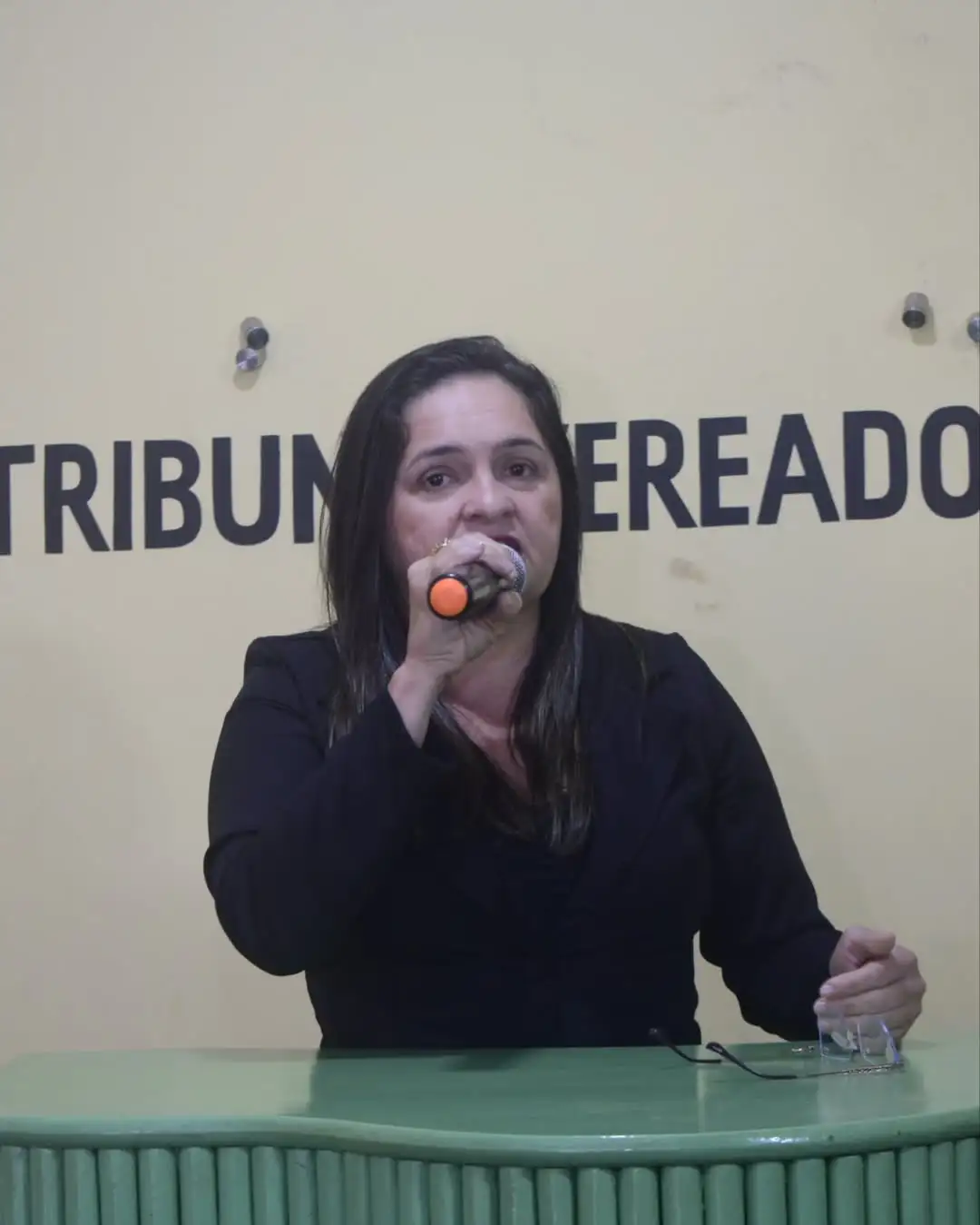 Foto 7 – 6ª Sessão Ordinária de 2025