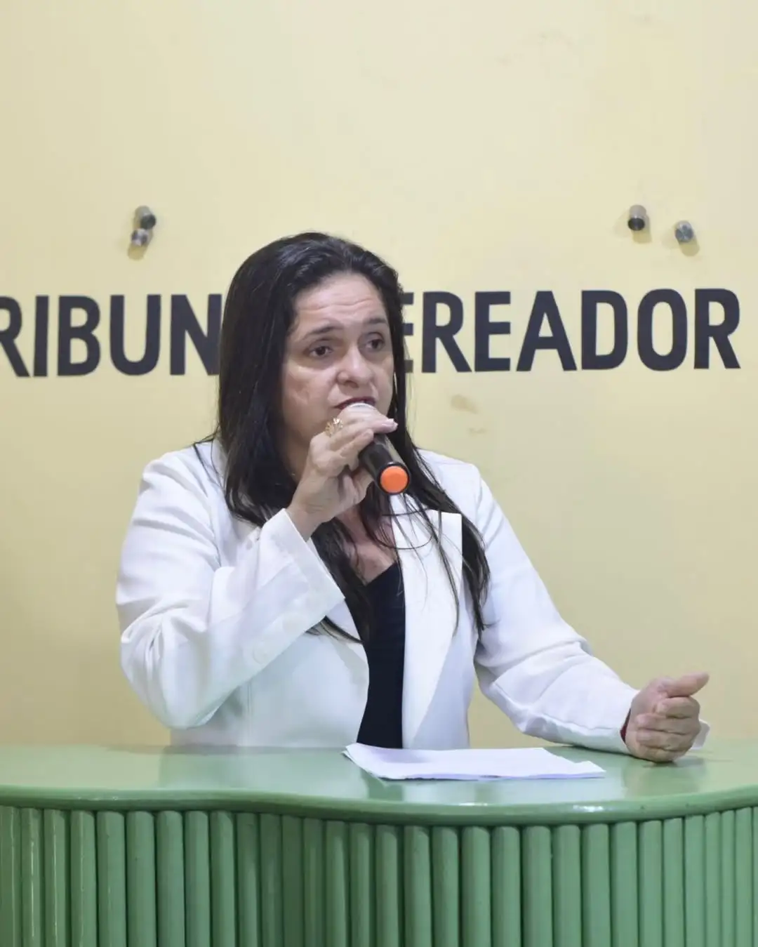 Foto 6 – Aprovação de indicações e diversos debates, a Câmara Municipal realizou a 10ª Sessão Ordinária de 2025