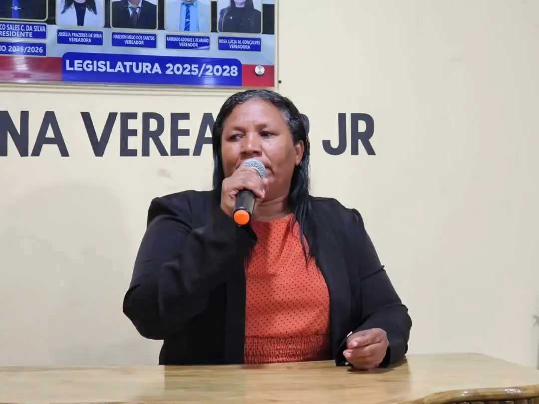 Foto 4 – 17ª Sessão Ordinária de 2025
