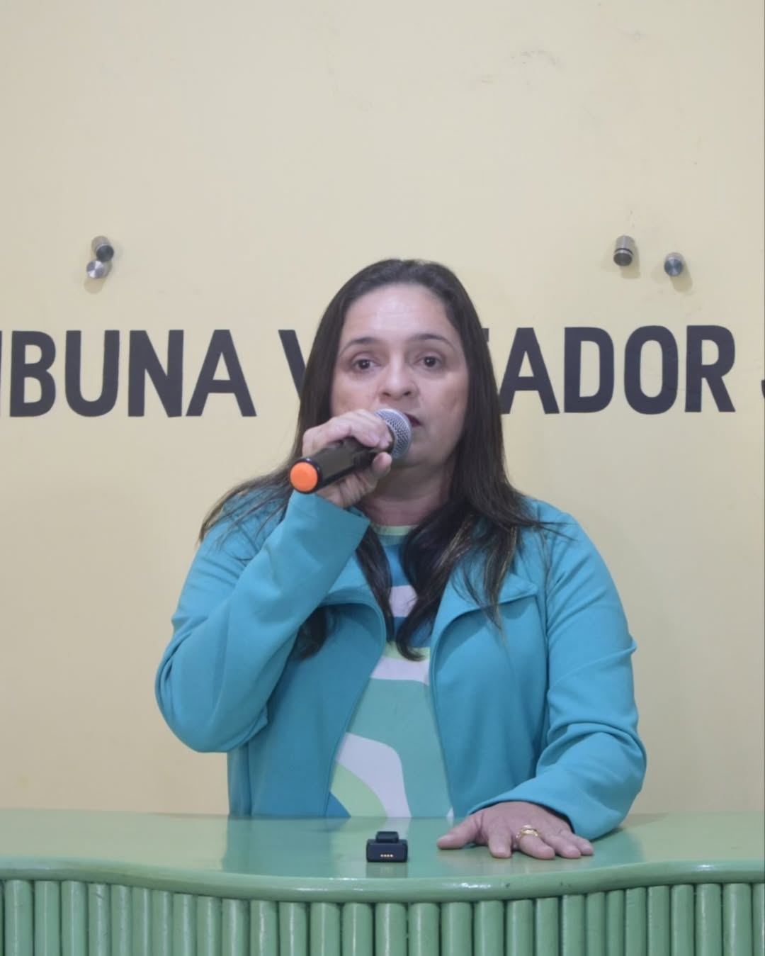 Foto 7 – 3ª Sessão Ordinária de 2025